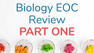 Biology EOC Review  Part 1 [upl. by Ozner15]