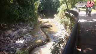 Titanoboa in the Park [upl. by Esmeralda]