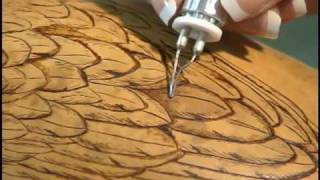 Woodburning on Gourds with Carrie Dearing [upl. by Haret]