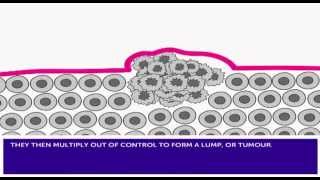 How Cancer Develops amp Mutation [upl. by Earazed]