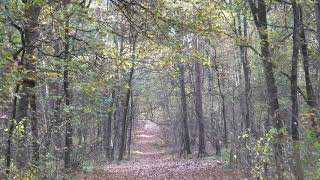 Kikmolenwandeling Opgrimbie Maasmechelen [upl. by Atnicaj791]