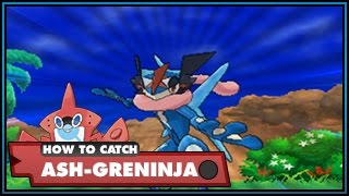 How To Catch AshGreninja Plus Obtaining Multiple AshGreninja Pokemon Sun And Moon Guide [upl. by Brick145]