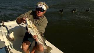 South Padre Island Texas Inshore Fishing for Trout with Live Croakers [upl. by Richella]