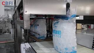 Automatic Ice Packing Machine Introduction [upl. by Ttezil]