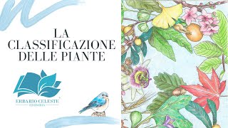 LA CLASSIFICAZIONE DELLE PIANTE [upl. by Anayra]