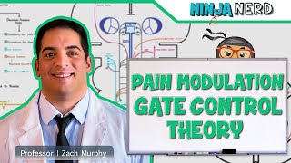 Ascending Tracts  Pain Modulation Gate Control Theory [upl. by Ajiak]