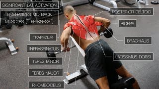 The Best ScienceBased Back Workout TARGET EVERY MUSCLE [upl. by Allista]