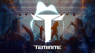 Teminite amp Whales  Mayhem [upl. by Anialam]