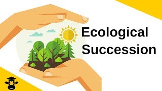 Ecological SuccessionPrimary and Secondary [upl. by Lenoel]