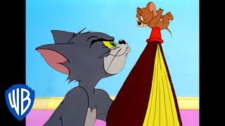 Tom y Jerry en Español  Siempre haciendo travesuras  WB Kids [upl. by Elletnahc]