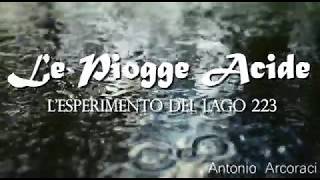 Le Piogge Acide  Lesperimento del Lago 223 [upl. by Ellmyer786]