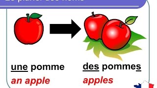 French Lesson 92  Plural nouns Grammar Rules Pronunciation  Le pluriel des noms en français [upl. by Anirtak]