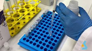 02  DNA Isolation from bacterial culture [upl. by Reginald102]