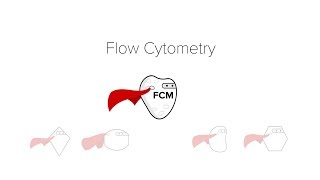 Flow Cytometry [upl. by Eylrac]