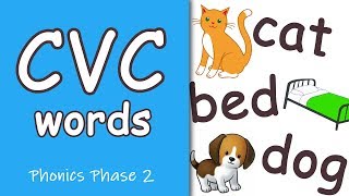 CVC Words  Phonics Phase 2 [upl. by Aytak]