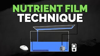 Nutrient Film Technique NFT Hydroponics System Tutorial [upl. by Cristen]