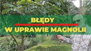 Błędy w uprawie magnolii [upl. by Ecinreb]