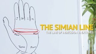 Palmistry  Understanding the SIMIAN line Indecisive amp Extreme Personality [upl. by Isnam]