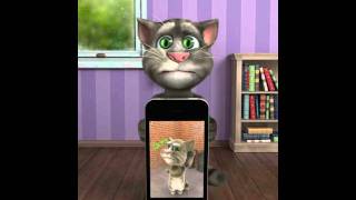 Free App  Talking Tom Cat Reactions [upl. by Baecher]