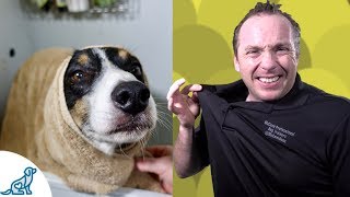 Simple Hacks To Bath Your Dog  Professional Dog Training Tips [upl. by Yetti]