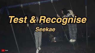 Seekae  test amp recognise flume rework  Lyrics [upl. by Becht]