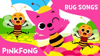 Bugs Bugs Bugs  Bug Songs  PINKFONG Songs [upl. by Acinomed]