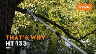 STIHL HT 133 pole pruner  Light weight amp high power  Thats why [upl. by Lekcar659]