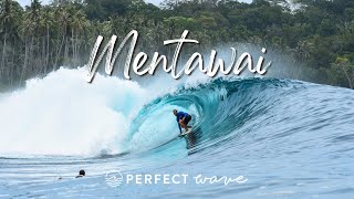 Surfing Mentawai With The Perfect Wave  Andy Potts [upl. by Nileek]