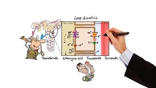 Pharmacology  DIURETICS MADE EASY [upl. by Navoj42]