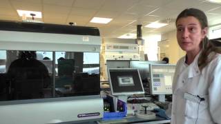 Flow Cytometry – Liliana Carvalho [upl. by Enilekcaj]