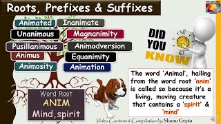 Root Word ANIM and derived words Illustrated Vocabulary through Roots Prefixes and Suffixes [upl. by Avigdor]