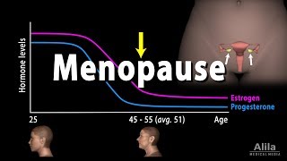 Menopause Perimenopause Symptoms and Management Animation [upl. by Cordula90]