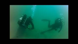 R2Deep2 Helps Divers Survey Eelgrass [upl. by Eladnor]