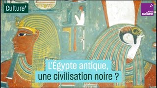 LÉgypte antique une civilisation noire  La thèse controversée de Cheikh Anta Diop [upl. by Tlaw]