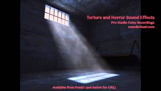 Torture and Horror Sound Effects [upl. by Jammin]