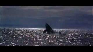 Free Willy Opening Credits [upl. by Girovard805]