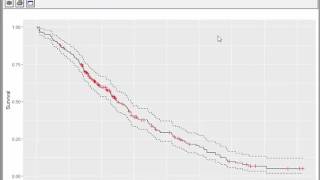 ggsurv  creating KaplanMeier plots with R [upl. by Pollerd531]