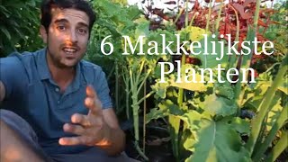 6 Makkelijke Planten Voor In Jouw Tuin [upl. by Godderd]