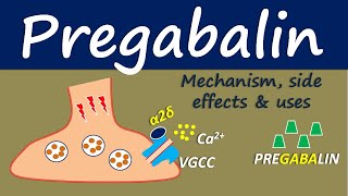 Pregabalin  Mechanism side effect and uses [upl. by Rainger]