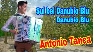 Sul bel danubio blu MIX  Valzer Viennese  musica MTopo esegue Antonio Tanca [upl. by Mosira]