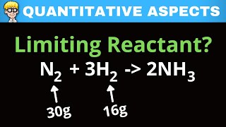 Limiting Reactant Grade 11 Practice [upl. by Jarek338]