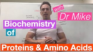 Proteins amp Amino Acids  Biochemistry [upl. by Eeram]