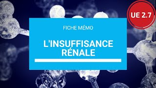 UE 27 Linsuffisance rénale [upl. by Jeane]