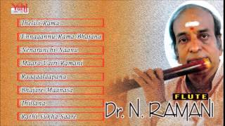 CARNATIC INSTRUMENTAL  DR N RAMANI  FLUTE  JUKEBOX [upl. by Amaris]