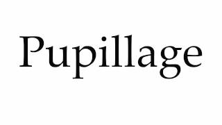 How to Pronounce Pupillage [upl. by Cantone]