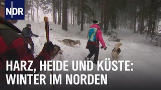 Erlebnis Winterzauber  die nordstory  NDR Doku [upl. by Iram]