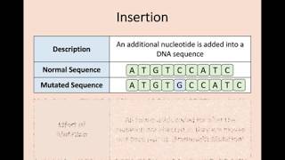 Higher Biology  16 Mutations [upl. by Link809]