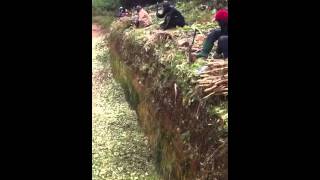 How to make silage manually [upl. by Caras]