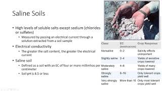 Soil Salinity [upl. by Woodward3]