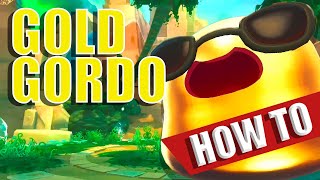 How to Catch GOLD Gordos FAST AND EASY  Toasty Tips [upl. by Haddad518]